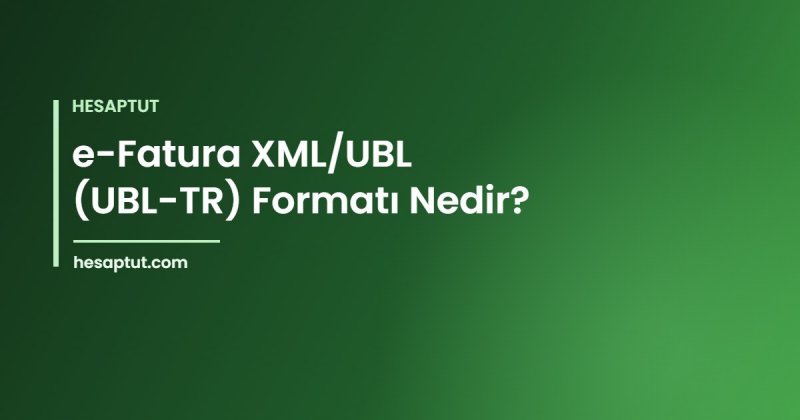 e-Fatura XML/UBL (UBL-TR) Formatı Nedir?