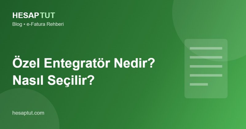 Özel Entegratör Nedir? Nasıl Seçilir?