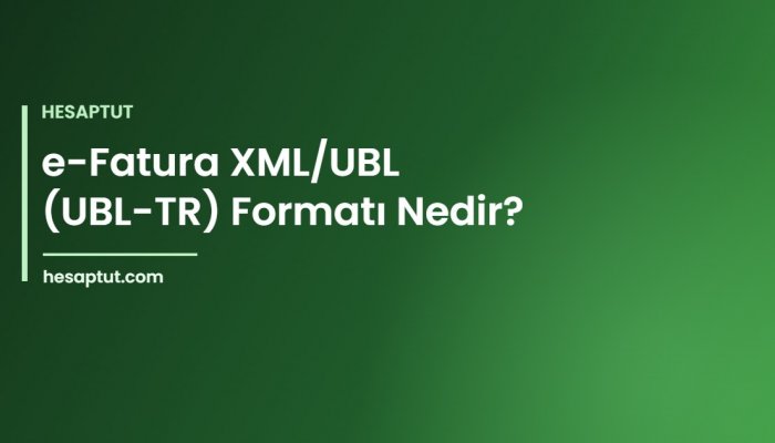 e-Fatura XML/UBL (UBL-TR) Formatı Nedir?